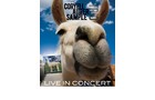 Download Foto: Nahaufnahme eines Lamas mit humorvollem Ausdruck vor blauem Himmel, darüber Text 'LIVE IN CONCERT'.