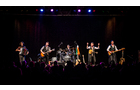 Download Foto: Eine fünfköpfige Band spielt auf einer Bühne mit Gitarren, Schlagzeug und Akkordeon unter bunten Lichtern vor einem Publikum.