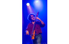 Download Foto: Ein Musiker spielt eine Violine auf einer Bühne, im blauen Licht, mit energischem Ausdruck.