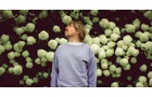 Download Foto: Eine Person in einem blauen Pullover steht vor einer Wand aus weißen Blumenkugeln und schaut zur Seite.