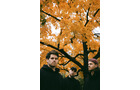 Download Foto: Drei Personen stehen unter einem Baum mit leuchtend orangefarbenen Herbstblättern. Der Himmel ist teilweise sichtbar.
