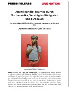 Presseinfo 2025 PDF