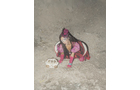 Download Foto: Person in bunter Kostüm sitzt auf einem staubigen Boden, umgeben von grauem Hintergrund. Sie trägt pinke Kleidung und Accessoires.