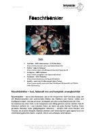 Presseinfo 2026 PDF