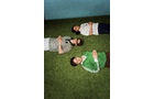 Download Foto: Drei Personen liegen auf grünem Gras nebeneinander, die Hände auf dem Bauch, und schauen nach oben, vor einer blauen Wand.