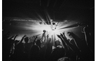 Download Foto: Schwarz-weiß Bild von Konzert: Menschenmenge hebt Arme in die Luft, Bühne im Hintergrund beleuchtet, stimmungsvolle Atmosphäre.