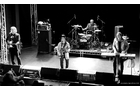 Download Foto: Eine Band spielt auf einer Bühne; vier Musiker mit Gitarren und Schlagzeug, in schwarz-weiß aufgenommen.
